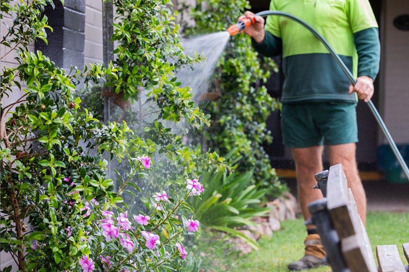 person watering a flower garden with hose